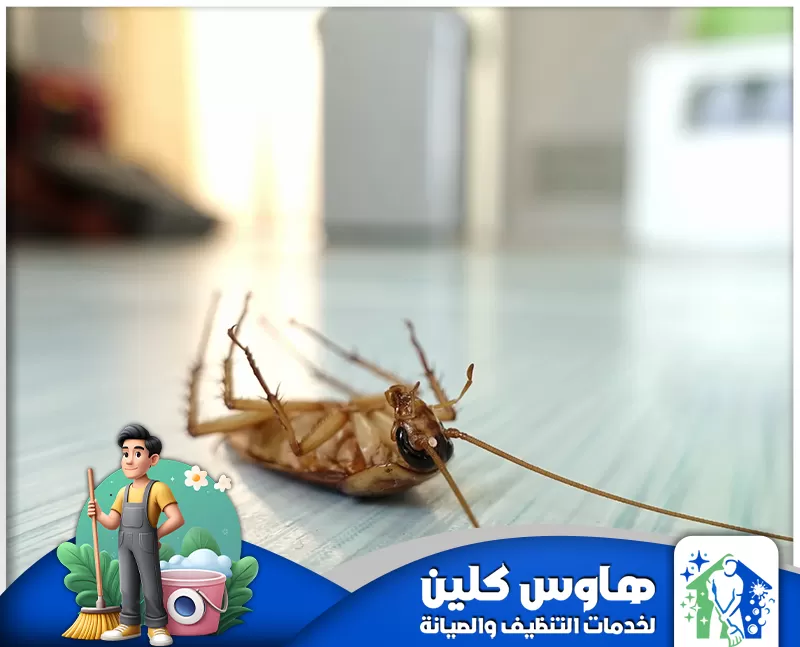 مكافحة صراصير المجاري بالرياض 0506747660 شركة هاوس كلين خدمة مكافحة صراصير المجاري بالرياض تقدم حلول فعالة وآمنة للتخلص من الصراصير ومنع تكاثرها داخل المنازل والمباني.
