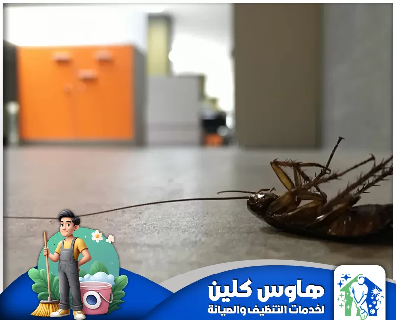 شركة مكافحة الصراصير الكبيرة بالرياض 0506747660 شركة هاوس كلين شركة مكافحة الصراصير الكبيرة بالرياض تُعد من أبرز الشركات المتخصصة في إبادة الحشرات، حيث تقدم خدمات فعّالة وآمنة.